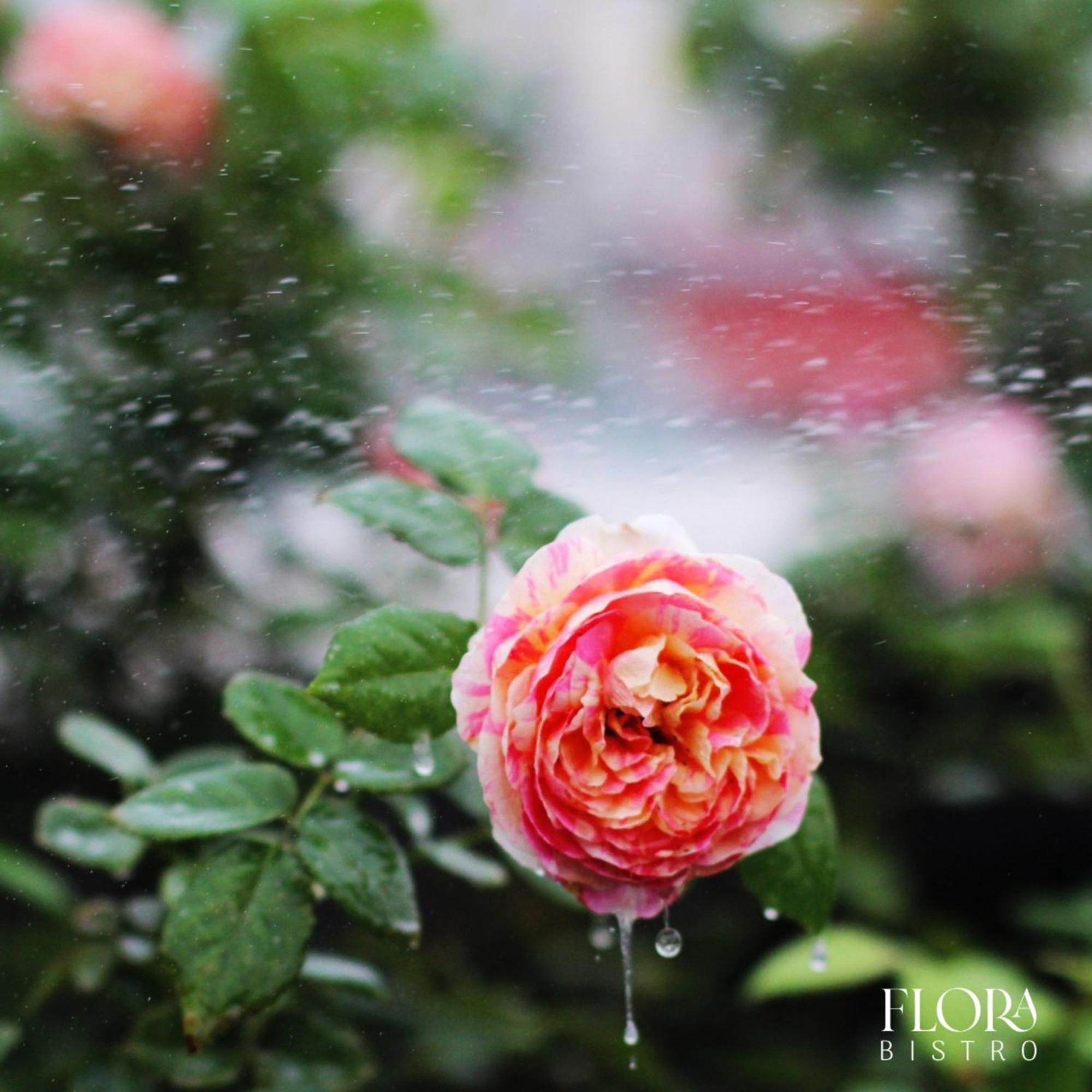 The Bloom Pham Viet Chanh - Modern Living Space In Saigon Ciudad Ho Chi Minh  Exterior foto
